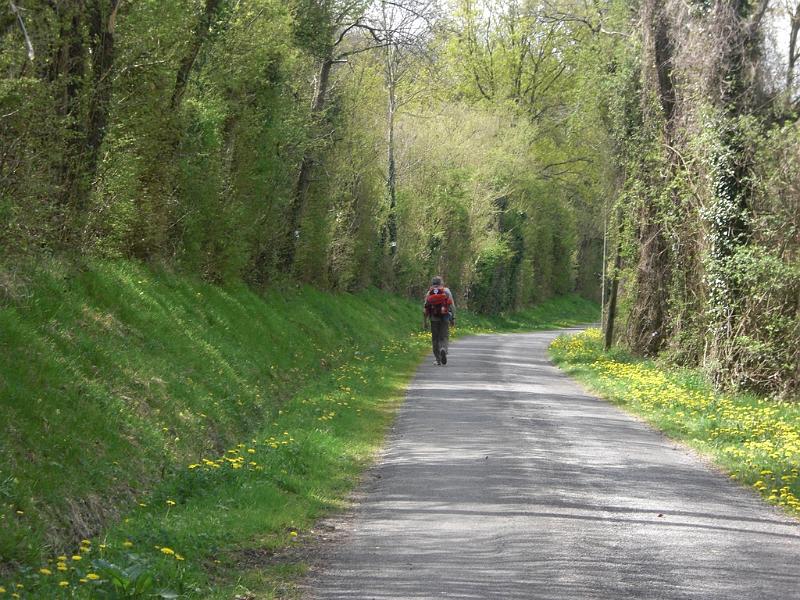 Mont Saint Michel 2010 - 114.jpg